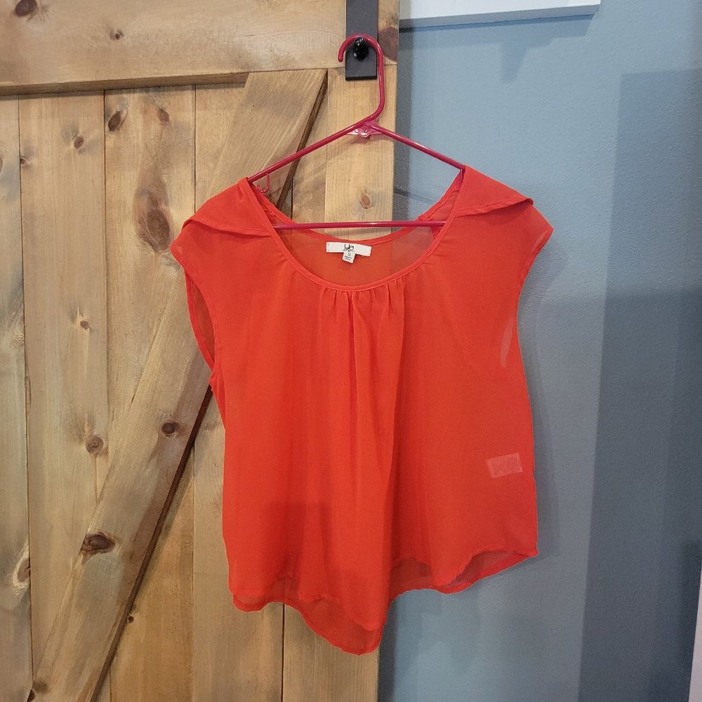 Sheer summer top